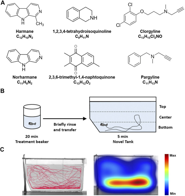 FIGURE 1