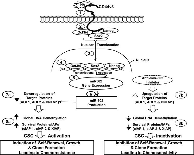 FIGURE 10.