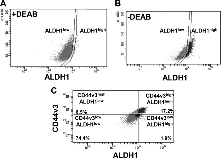 FIGURE 1.