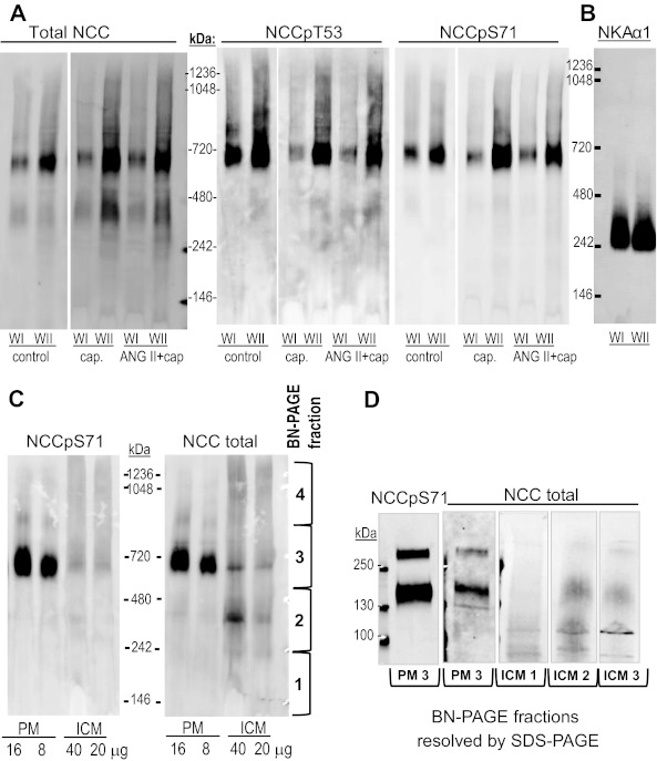 Fig. 10.