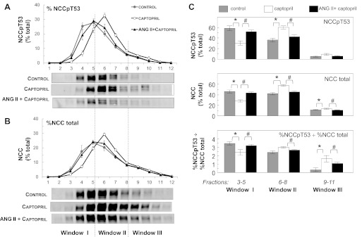 Fig. 8.