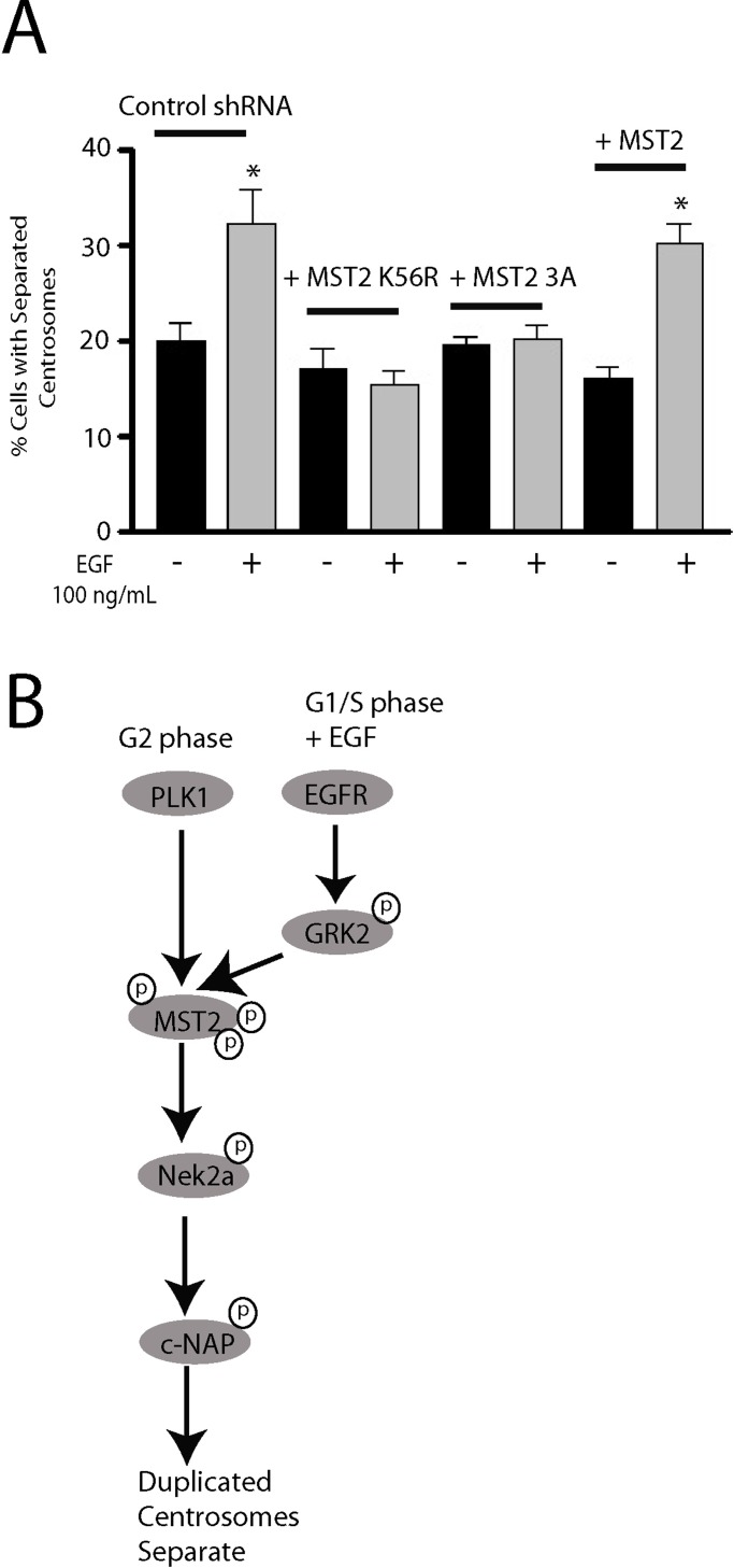 FIGURE 8: