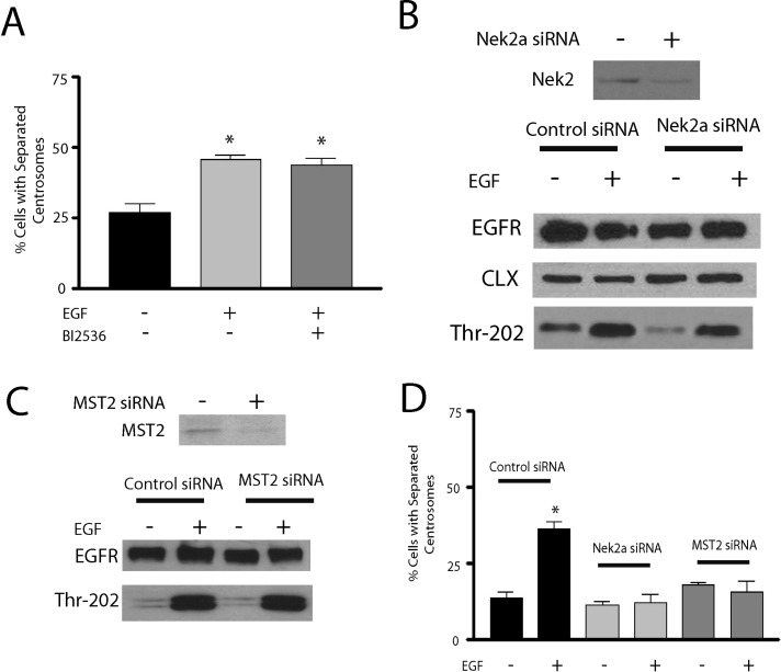 FIGURE 6: