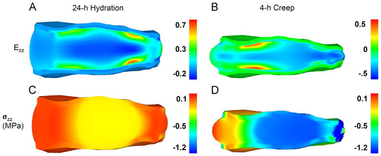 Fig. 4