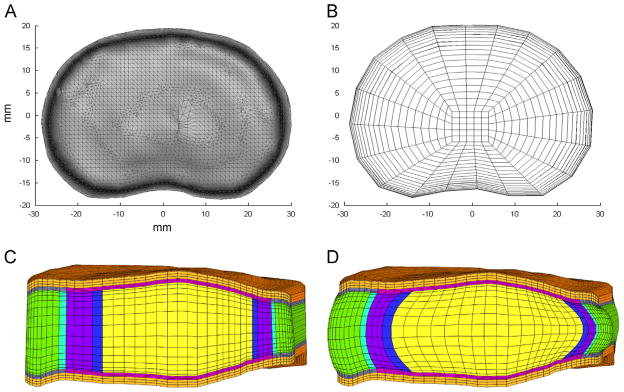 Fig. 2