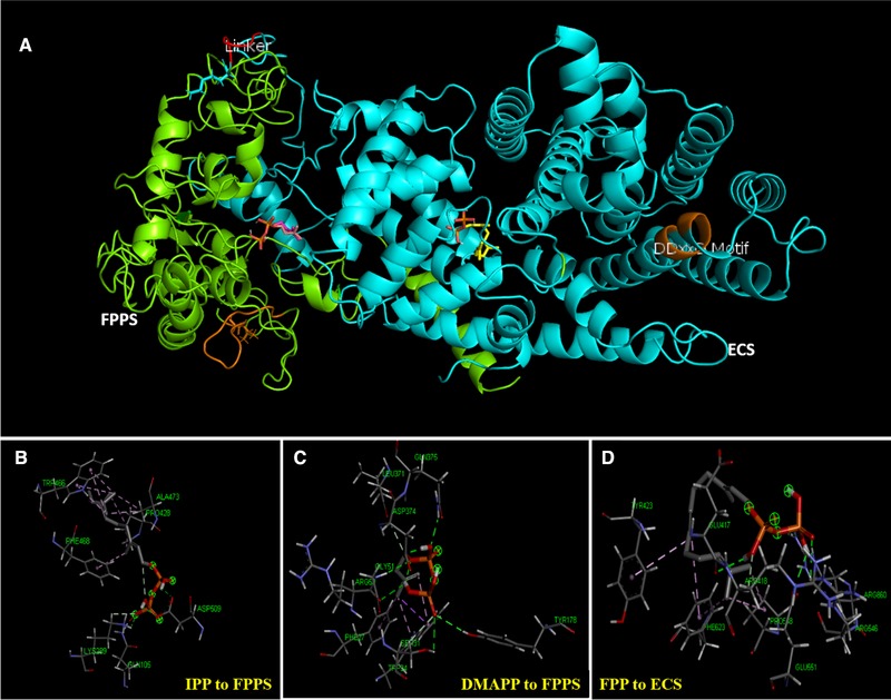 Figure 4