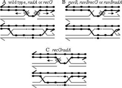 FIG. 5.