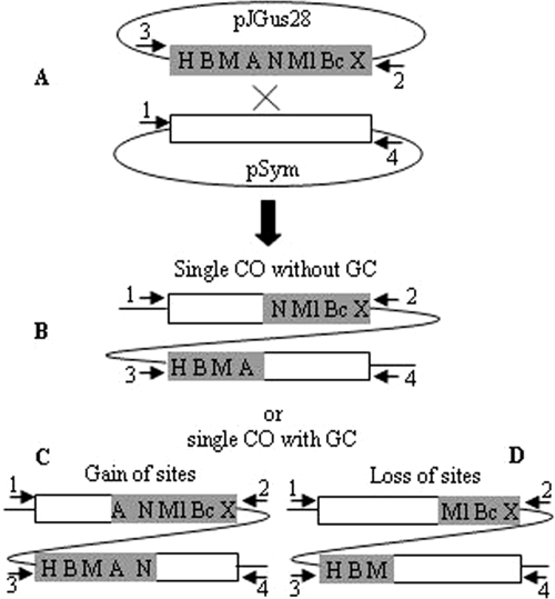 FIG. 2.