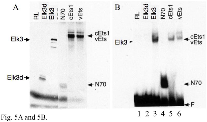 Fig. 5