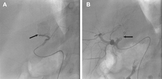 Fig. 6