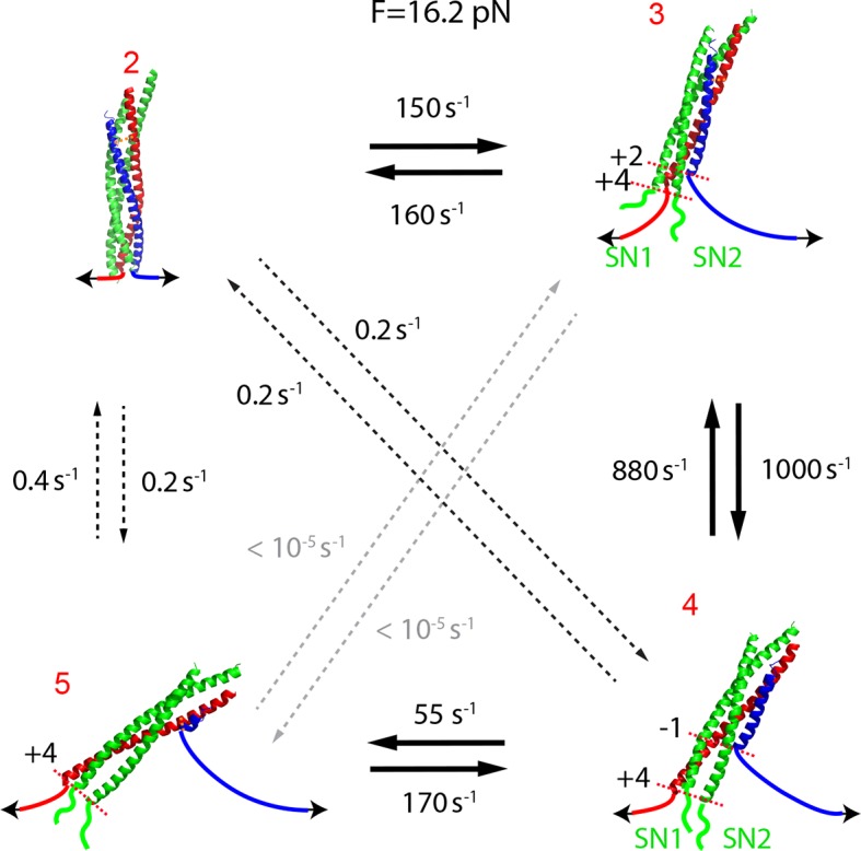 Figure 2—figure supplement 2.