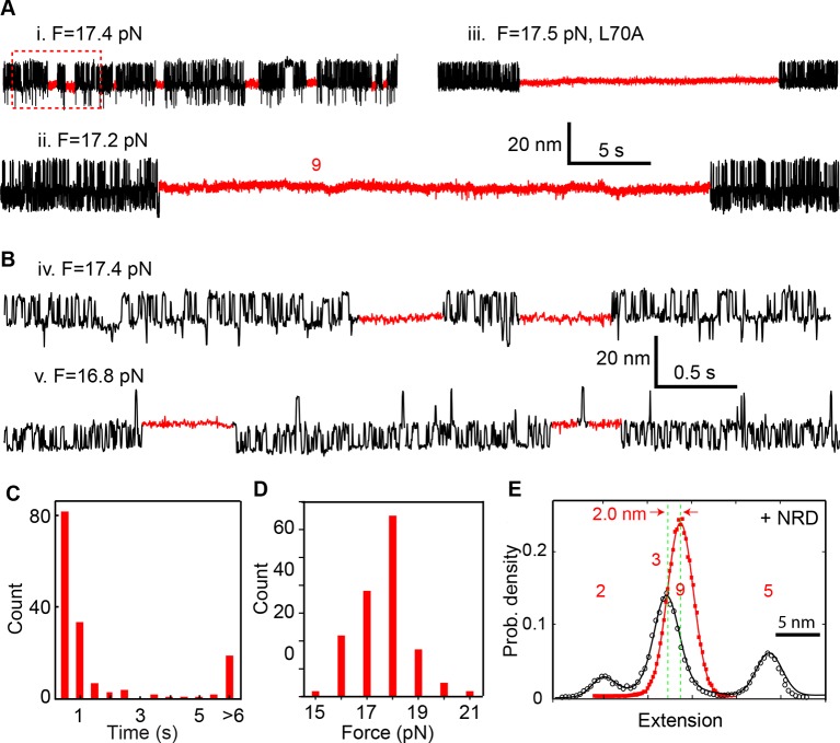 Figure 10.