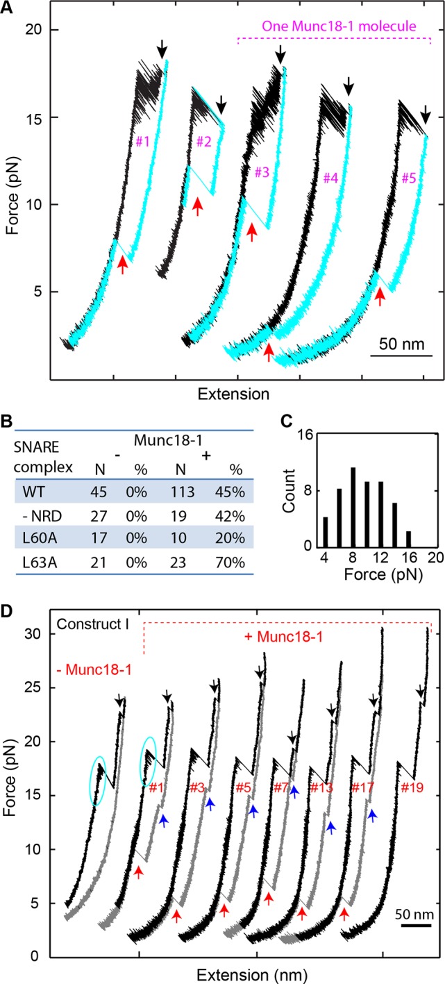 Figure 9.