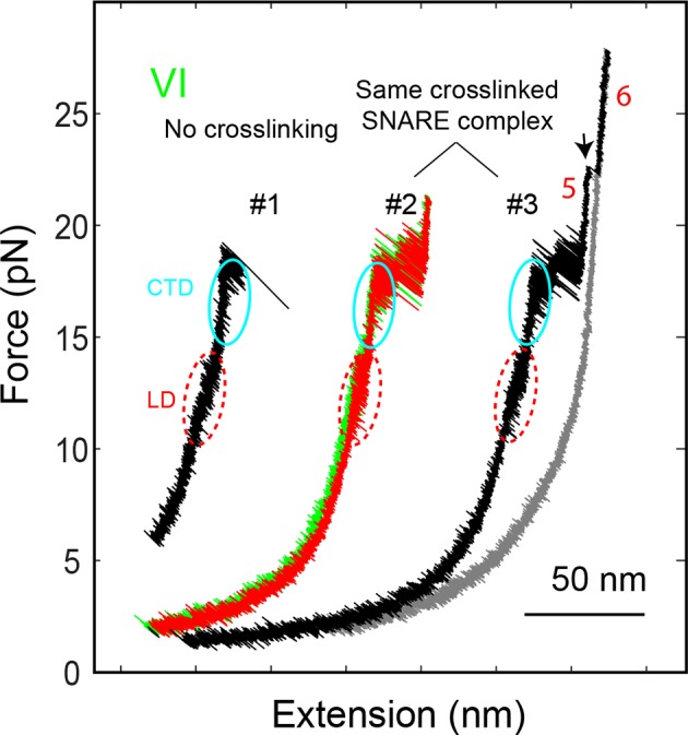 Figure 1—figure supplement 3.