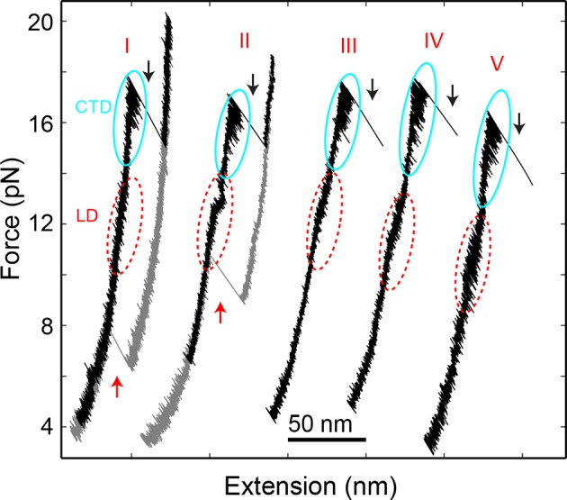 Figure 1—figure supplement 2.