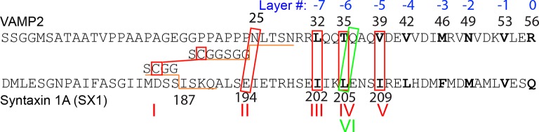 Figure 1—figure supplement 1.