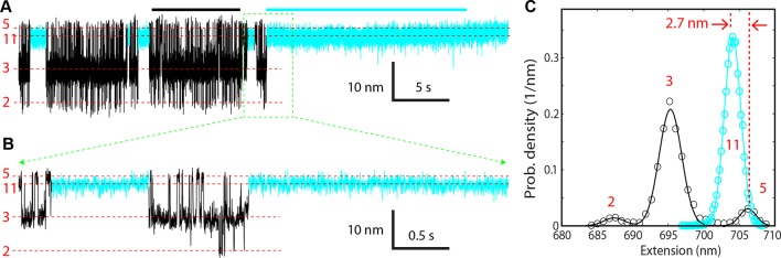 Figure 11—figure supplement 1.