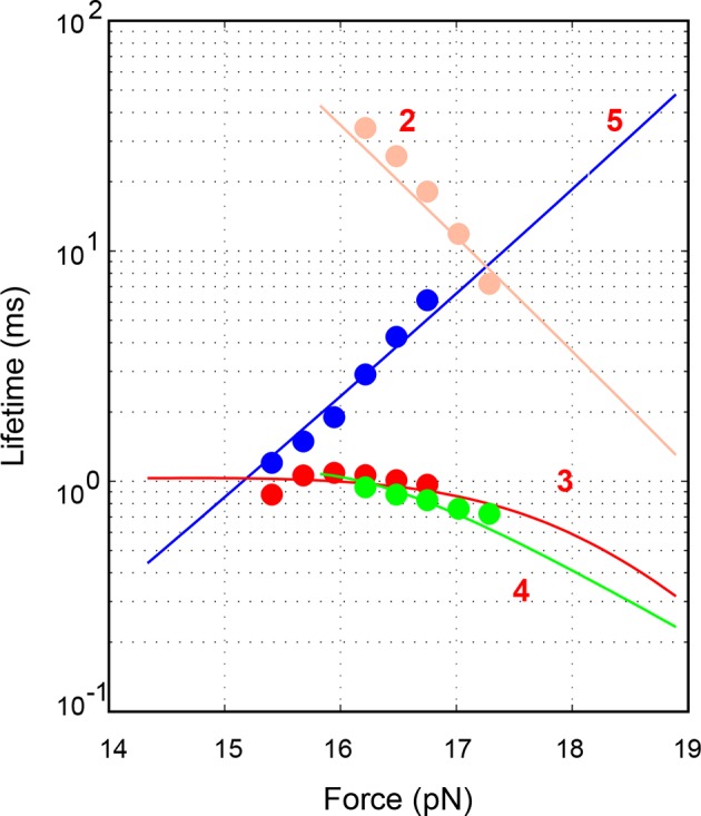 Figure 2—figure supplement 1.