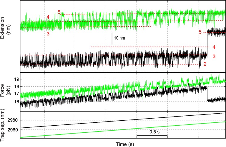 Figure 1—figure supplement 5.