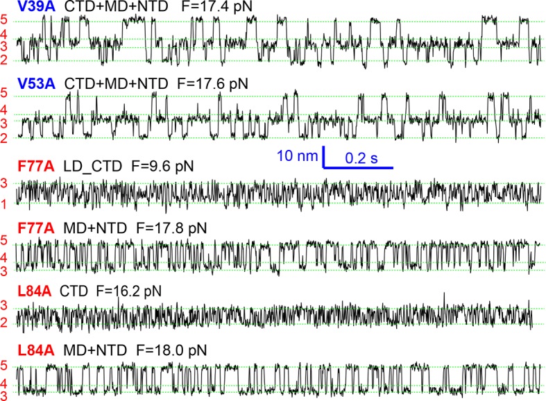 Figure 5—figure supplement 1.