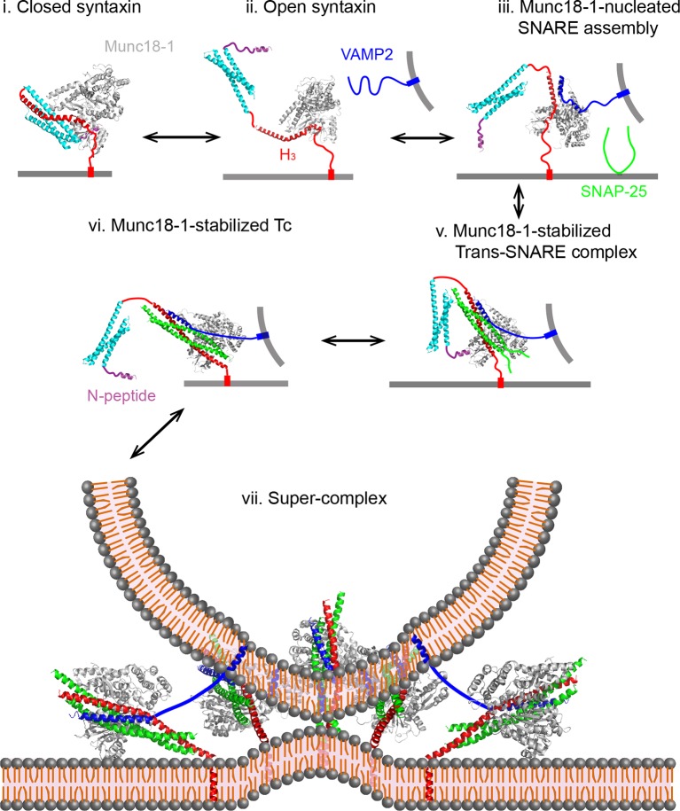 Figure 14.