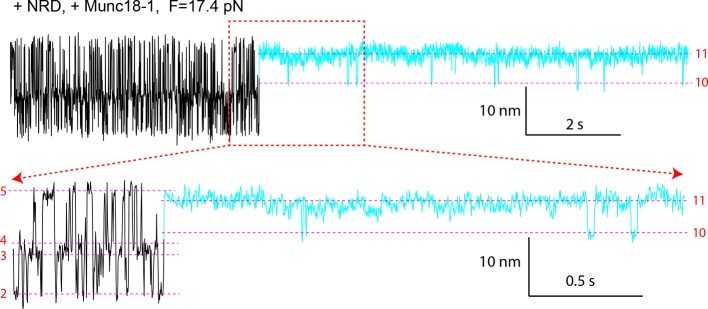 Figure 11—figure supplement 3.