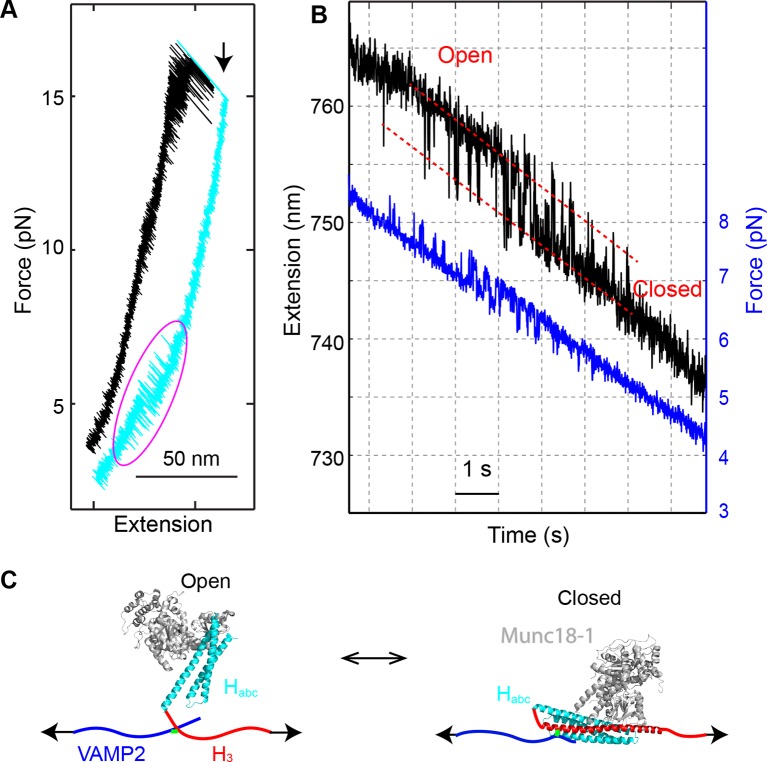 Figure 12.