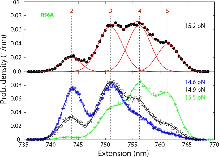 Figure 5—figure supplement 2.