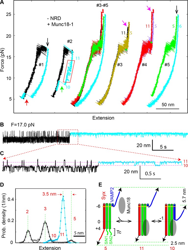 Figure 11.