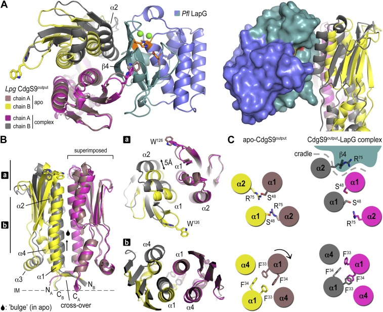 Figure 4.