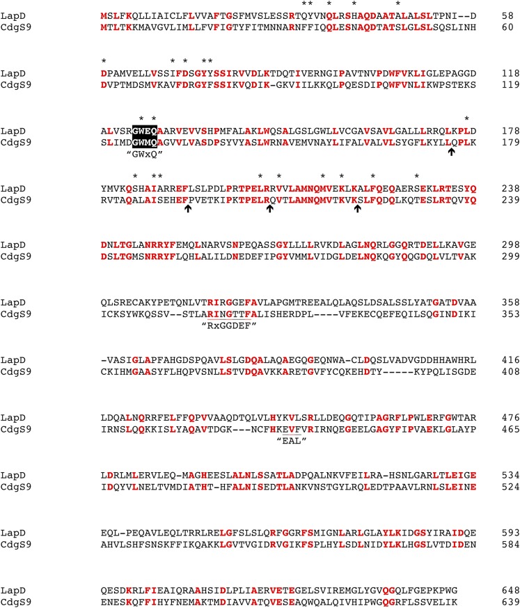 Figure 10—figure supplement 1.