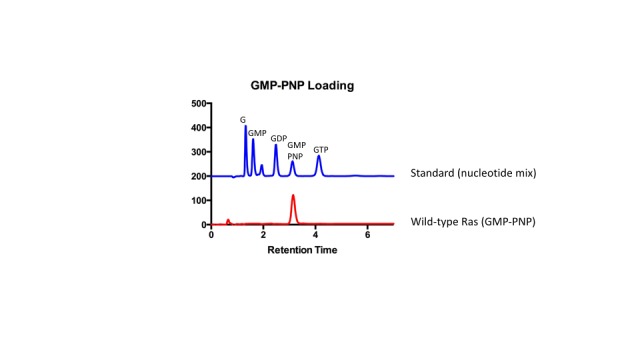 Figure 1—figure supplement 4.