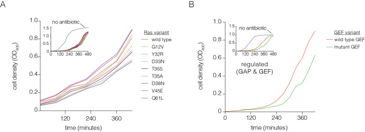 Figure 1—figure supplement 2.