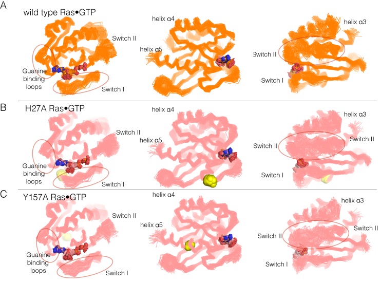 Figure 6—figure supplement 1.