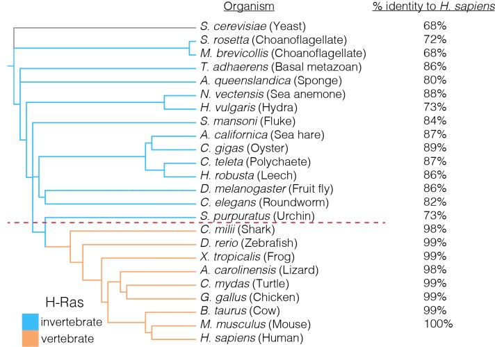 Figure 1—figure supplement 1.