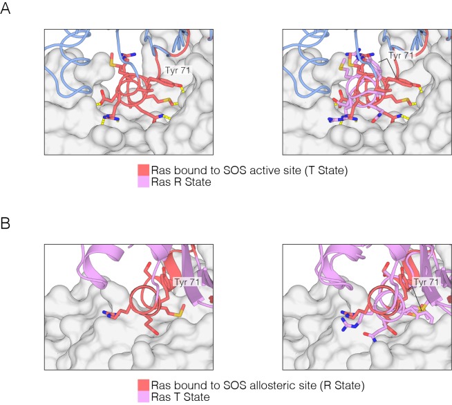 Figure 10—figure supplement 1.