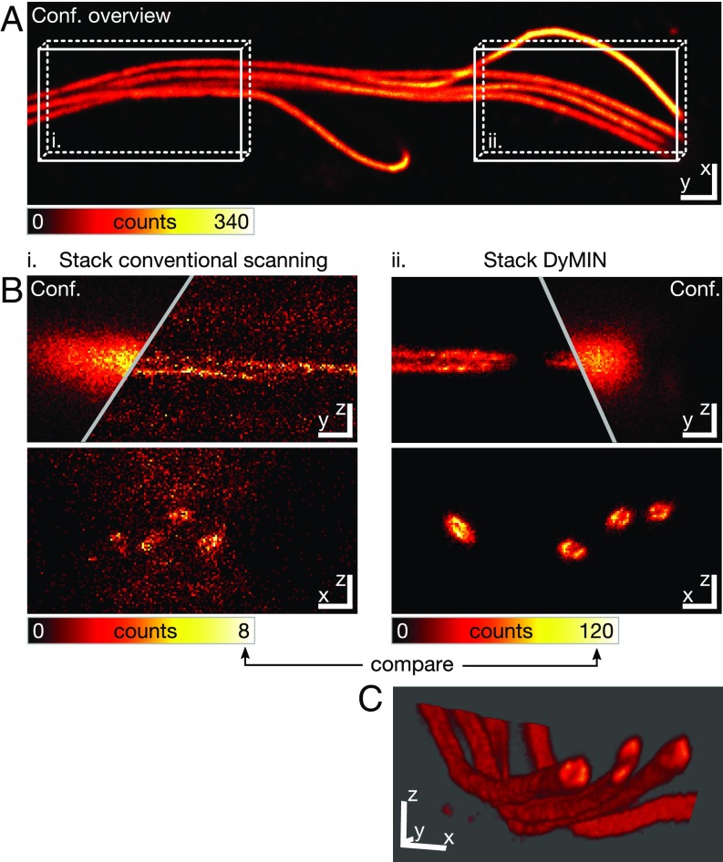 Fig. 4.