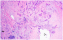 FIG 5