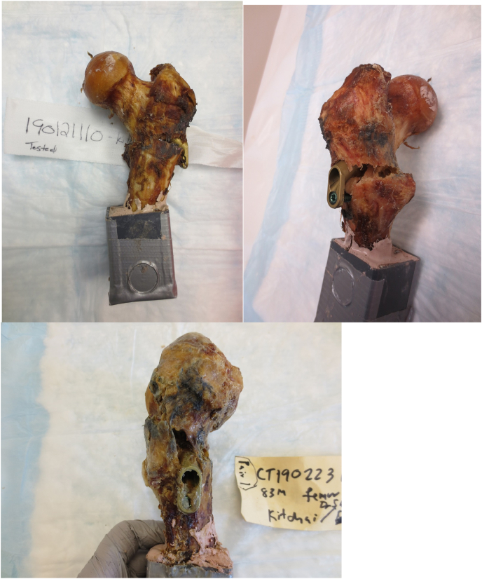 Fig. 10