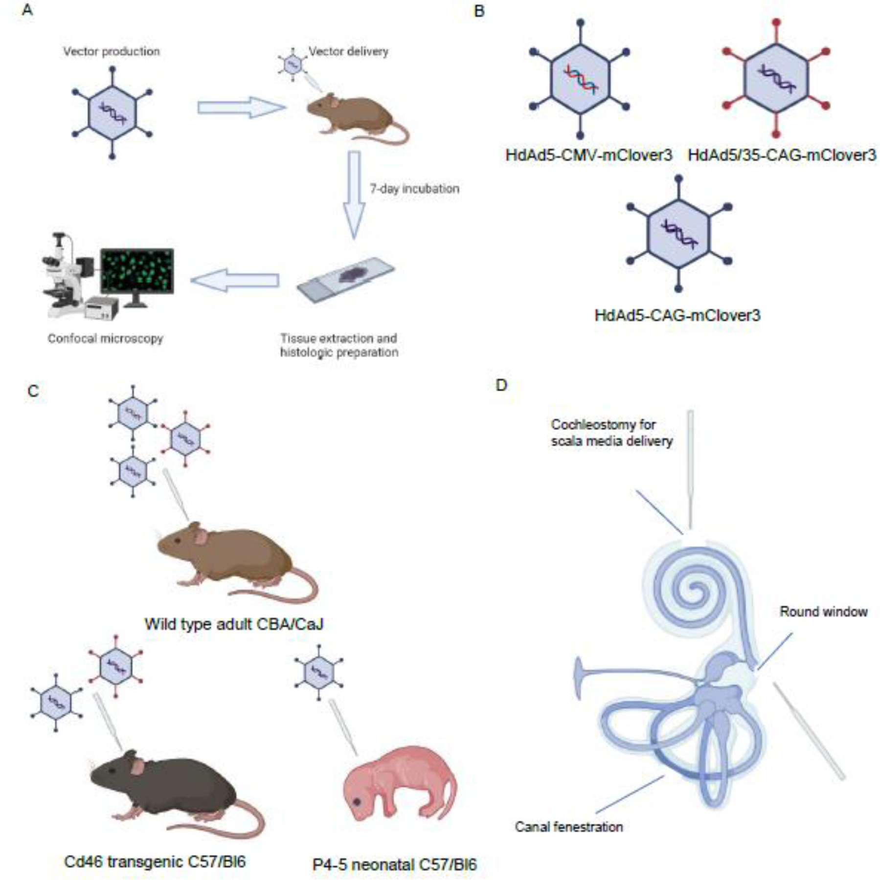 Figure 1: