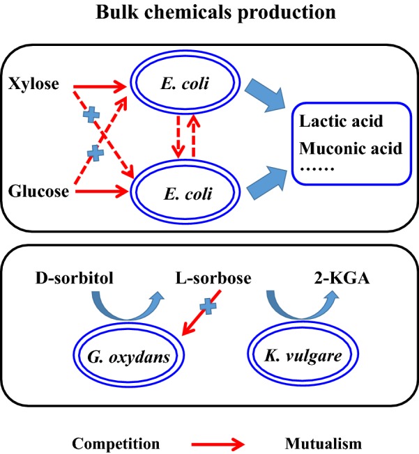 Fig. 4