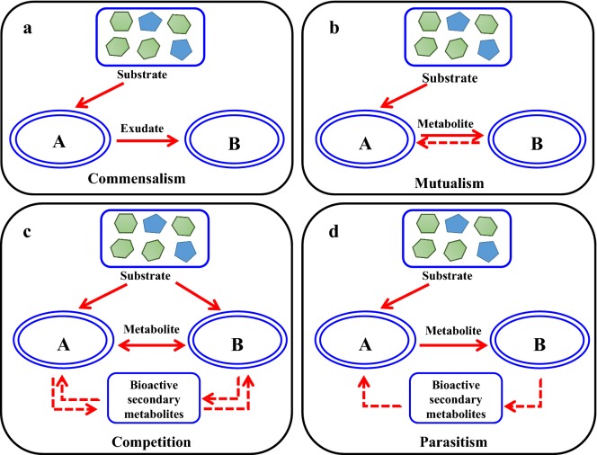 Fig. 1