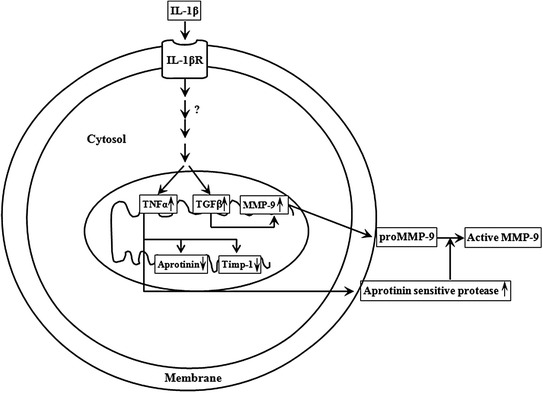 Fig. 4