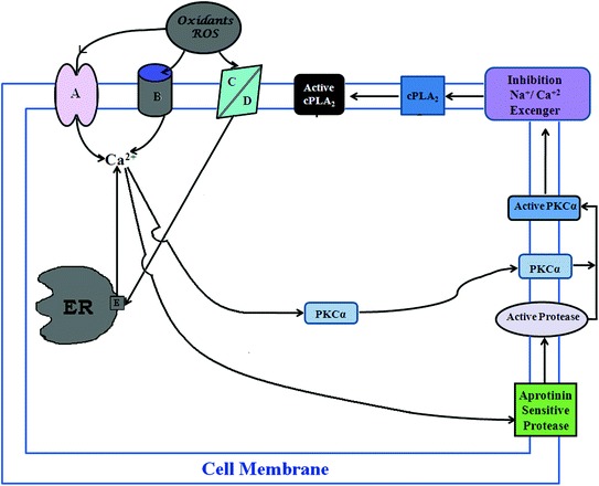 Fig. 1