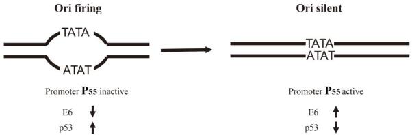 graphic file with name 12250_2016_3887_Fig1_HTML.jpg