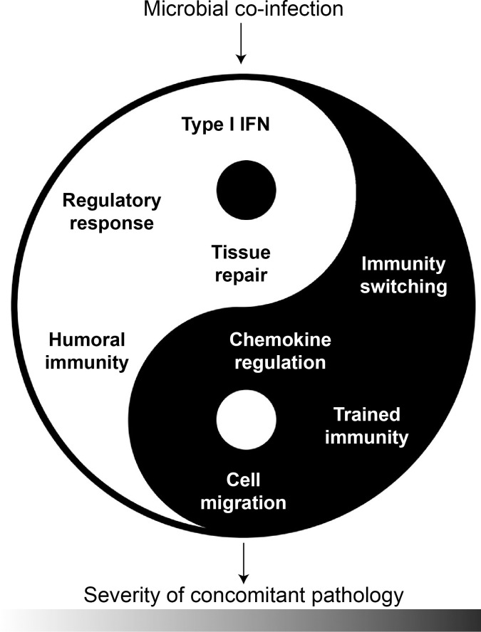 Fig 5