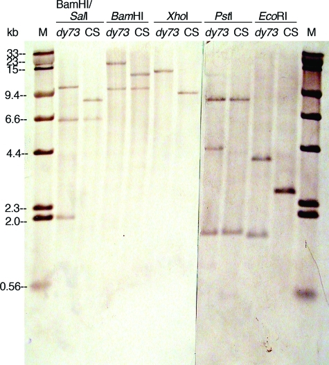 Figure 6: