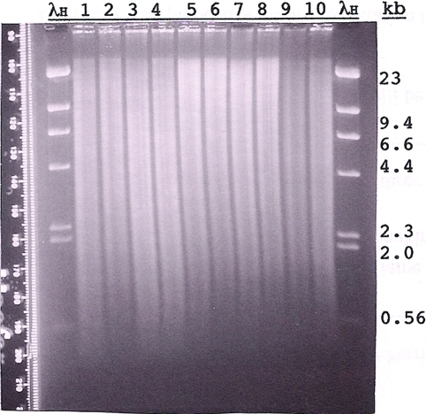 Figure 5: