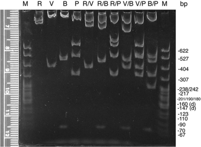 Figure 4: