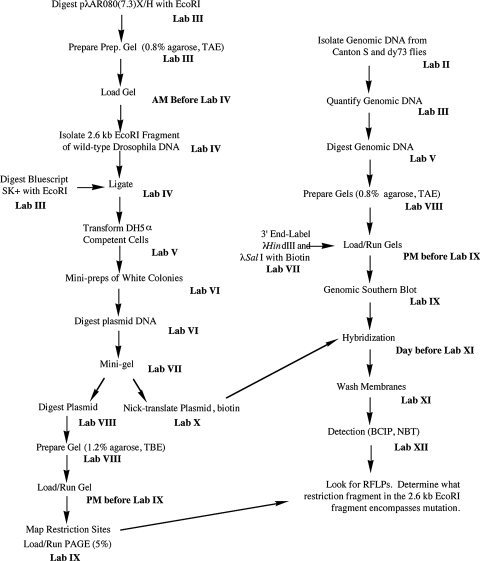 Figure 1: